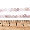 Natural Quartz Beads Strands G-P530-B02-01-5