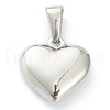 304 Stainless Steel Pendants X-STAS-P278-01F-P-2
