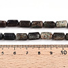 Natural Biotite Beads Strands G-N346-01B-02-5