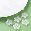 Transparent Acrylic Beads MACR-S373-116-D01-7