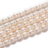 Natural Cultured Freshwater Pearl Beads Strands PEAR-L033-66-01-1