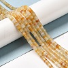 Natural Topaz Jade Beads Strands G-L528-07A-4