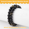 Olycraft 2 Strands Natural Golden Sheen Obsidian Beads Strands G-OC0004-98A-4