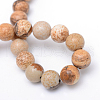 Round Natural Picture Jasper Bead Strands G-R345-4mm-19-3