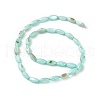Natural Freshwater Shell Dyed Beads Strands SHEL-M018-13-02-2