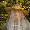Preciosa® MAXIMA Crystal Fancy Stones Y-PRC-FG8-00030-200-5