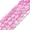 Natural Trochus Shell Beads Strands SHEL-K006-19-2