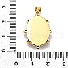 Rack Plating Brass Micro Pave Cubic Zirconia Glue Photographic Paper Pendants KK-D343-04G-3