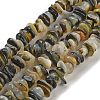 Natural Black Lip Shell Beads Strands BSHE-G038-04-1