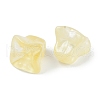 Transparent Spray Paint Glass Beads GLAA-H035-03H-2