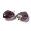 Natural Amethyst Pendants G-E603-01G-03-2