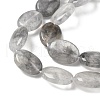 Natural Cloudy Quartz Beads Strands G-F790-A03-03-4