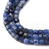 Natural Sodalite Beads Strands G-B142-C02-2x2mm-4