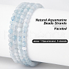 Olycraft 2 Strands Natural Aquamarine Beads Strands G-OC0005-41-4