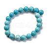 Dyed Natural Magnesite Beads Strands G-P558-A01-01B-3