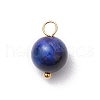 Dyed Natural Rainbow Tiger Eye Round Charms PALLOY-JF03498-01-3
