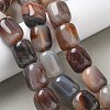 Natural Agate Beads Strands G-H295-F01-16-5
