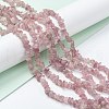 Natural Madagascar Rose Quartz Beads Strands X-G-O187-01-3