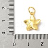 Brass Charms KK-Z107-05G-02-3