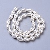 Polished Shell Pearl Beads Strands BSHE-L042-A02-3