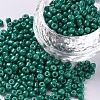 Baking Paint Glass Seed Beads SEED-US0003-3mm-K26-1