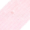Natural Rose Quartz Beads Strands G-P575-A09-8x5mm-2