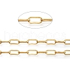 Ion Plating(IP) 304 Stainless Steel Paperclip Chains CHS-D030-02G-1