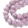 Natural Lepidolite Beads Strands G-H247-11E-2