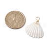 Natural Ark Shell Pendants PALLOY-JF02679-01-2