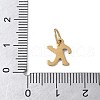 304 Stainless Steel Enamel Charms STAS-G353-01G-K-3