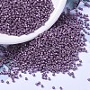 MIYUKI Delica Beads SEED-X0054-DB1173-1