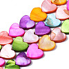 Natural Freshwater Shell Beads Strands X-SHEL-S278-024B-1