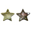 Natural Freshwater Shell Pendants SHEL-R113-16D-2