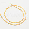 Natural Sea Shell Round Bead Strands SSHEL-M013-2mm-02-2