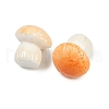 Mushroom Series Resin Display Decorations DJEW-S002-01B-2