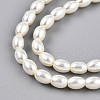Baking Painted Pearlized Glass Pearl Bead Strands HY-T002-01C-02-2