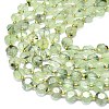 Natural Prehnite Beads Strands G-C116-A115-01-3