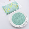 13/0 Glass Seed Beads SEED-T005-14A-A19-2