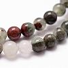 Natural African Bloodstone Beads Strands G-D840-66-8mm-3