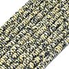Frosted Natural Dalmatian Jasper Beads Strands G-K389-C22-01-2