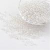 Round Glass Seed Beads X-SEED-A006-3mm-101-1