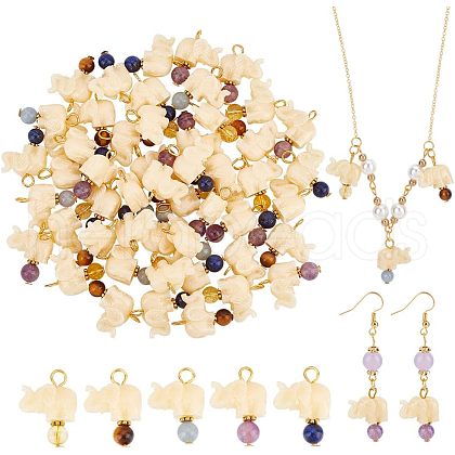 HOBBIESAY 50Pcs Opaque Resin and Natural Mixed Stone Pendants FIND-HY0001-37-1