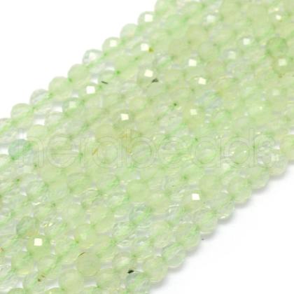 Natural Prehnite Beads Strands G-E411-25-2mm-1