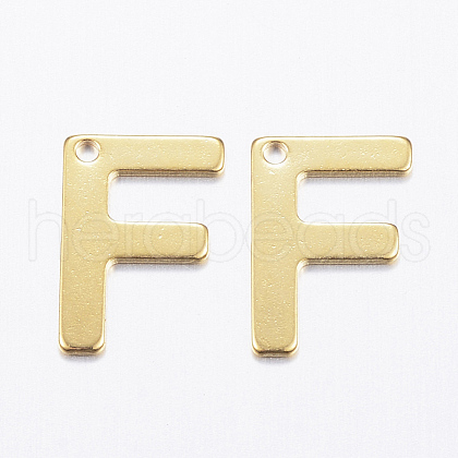 304 Stainless Steel Charms X-STAS-P141-F-1