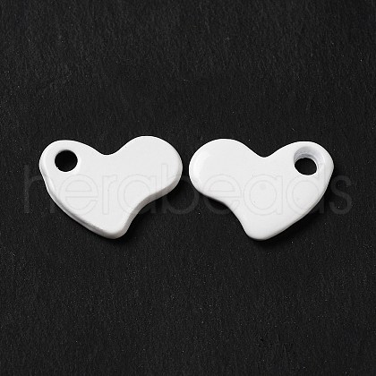 Spray Painted 201 Stainless Steel Charms STAS-I672-13B-1