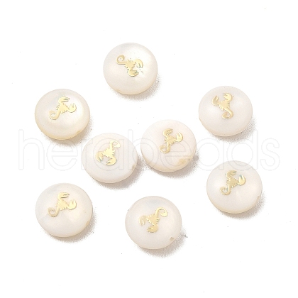 Natural Freshwater Shell Beads BSHE-E026-02-1