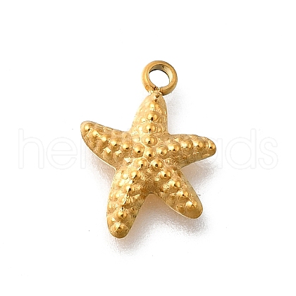 304 Stainless Steel Charms STAS-R159-46G-03-1