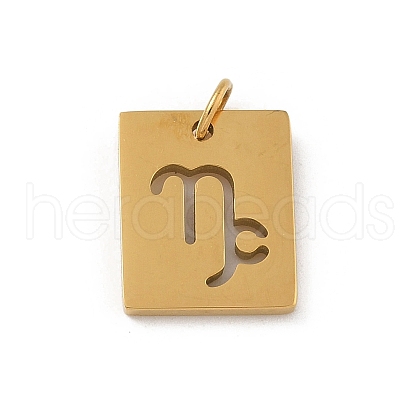 304 Stainless Steel Charms STAS-R001-03G-10-1