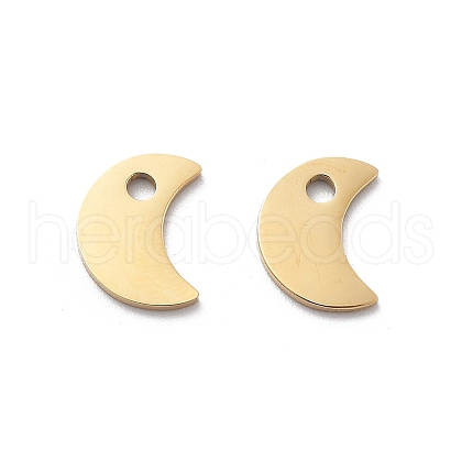304 Stainless Steel Charms STAS-M111-06G-1