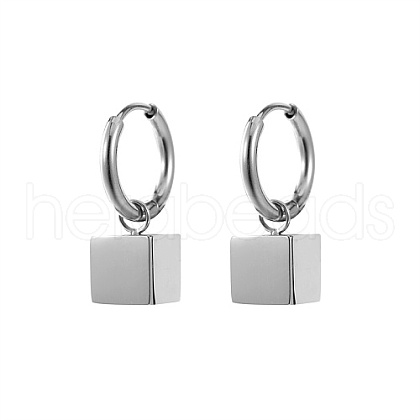 304 Stainless Steel Dangle Hoop Earrings NS0703-2-1